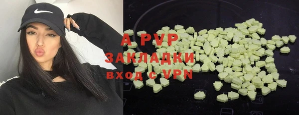 крисы Алзамай