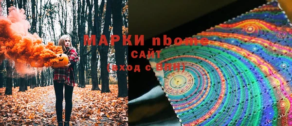 крисы Алзамай